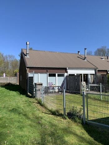 komplett eingezäunter Garten