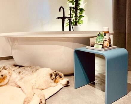 Alle Hunde sind bei uns herzlich willkommen!