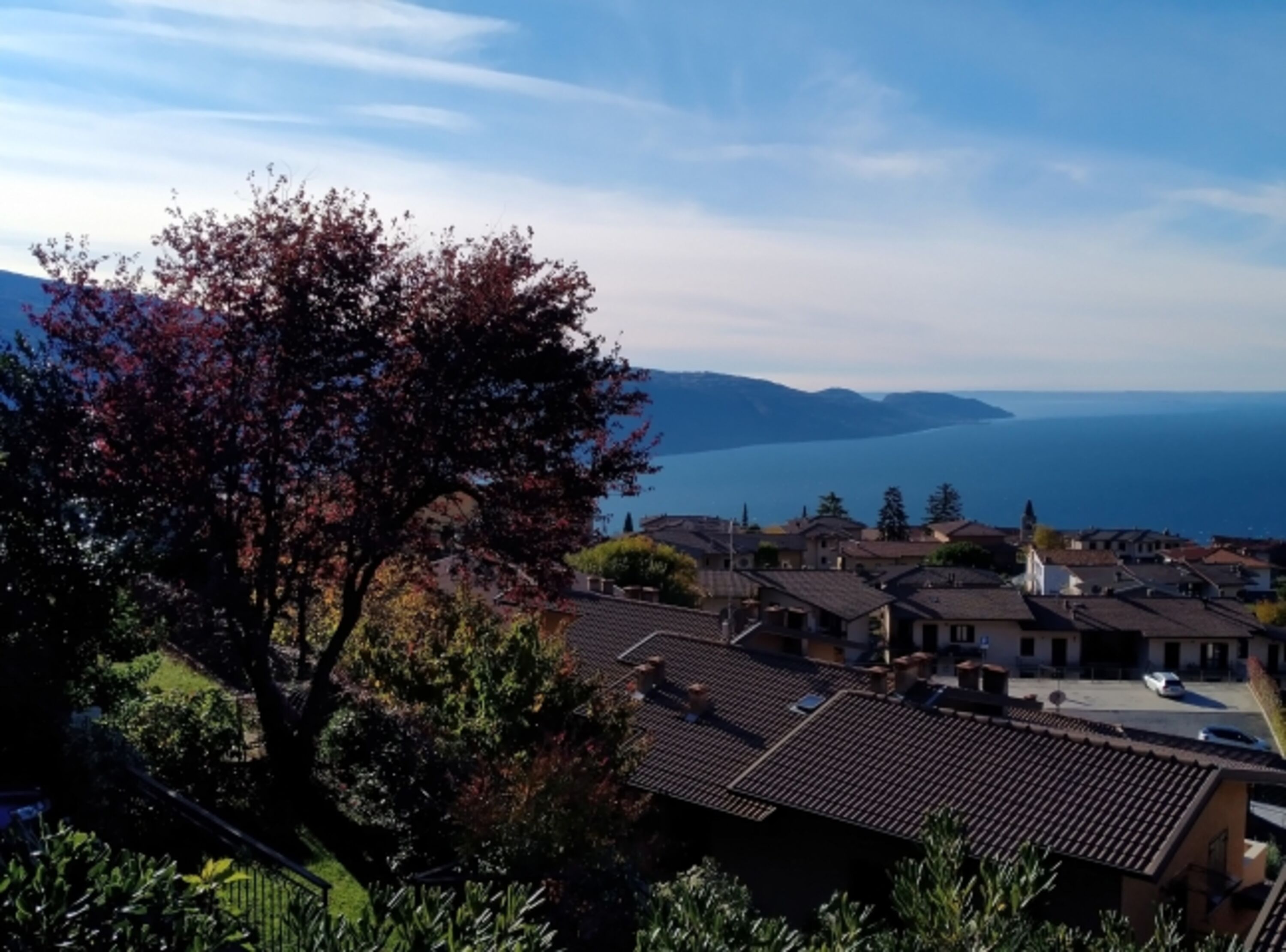Seeblick