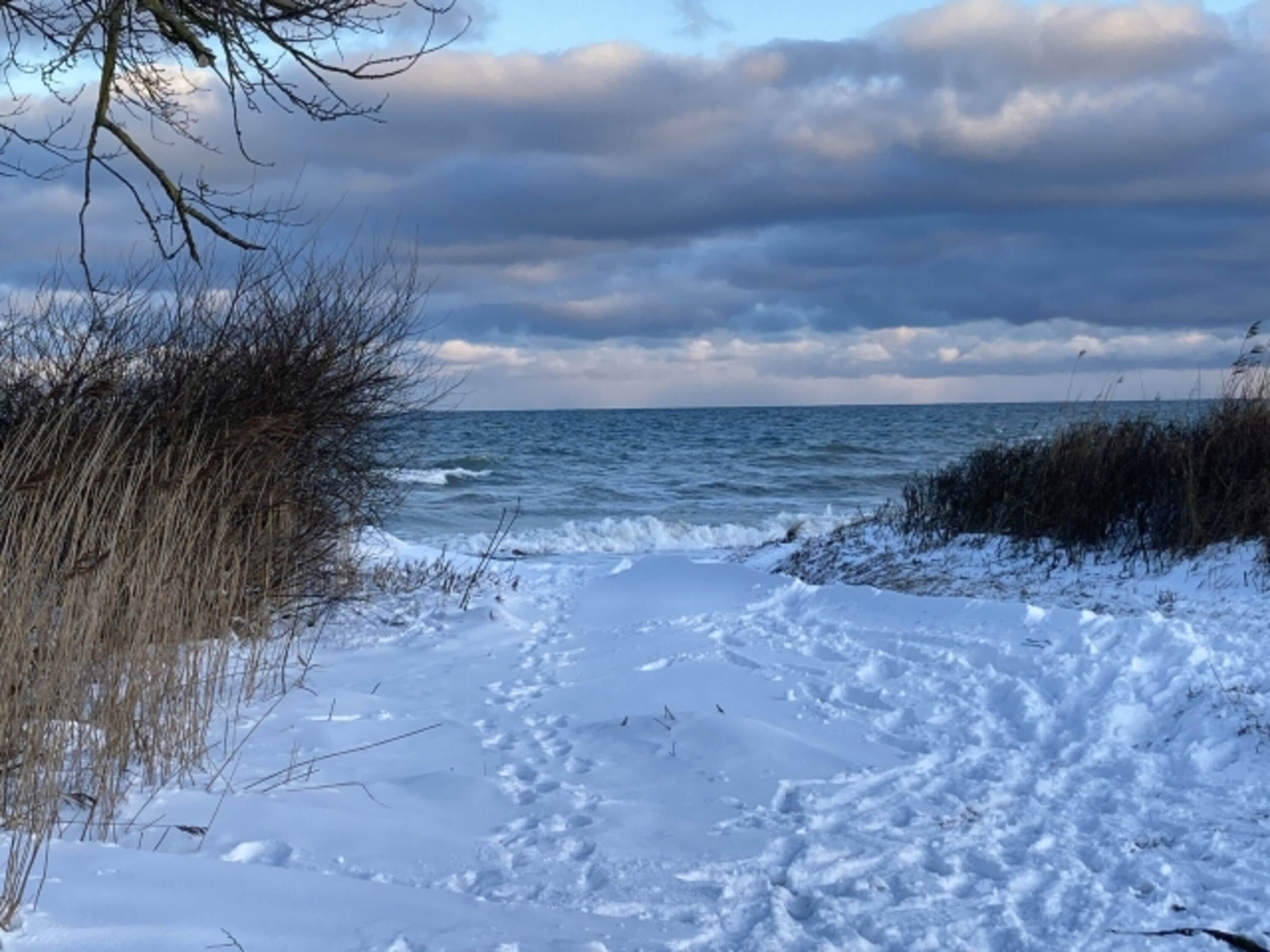 Winter Wonderland