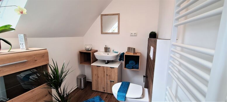 Gäste WC Dachgeschoss II