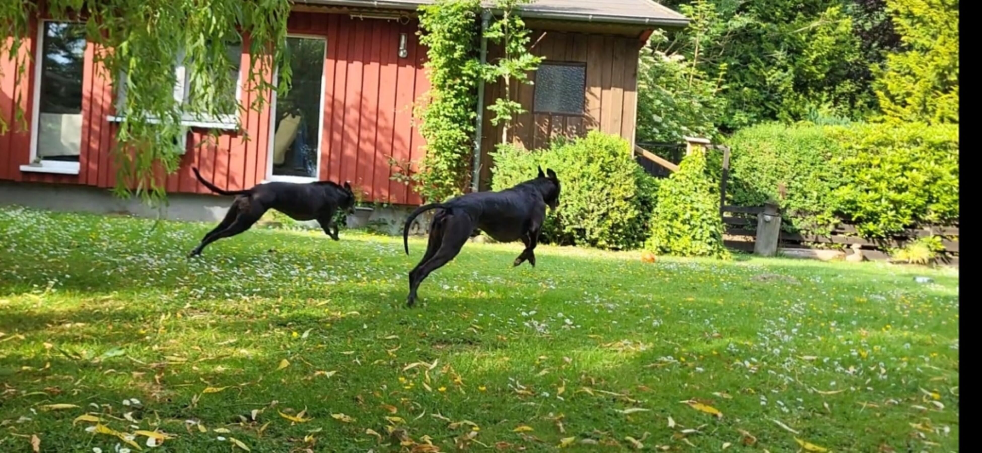 Bild 22