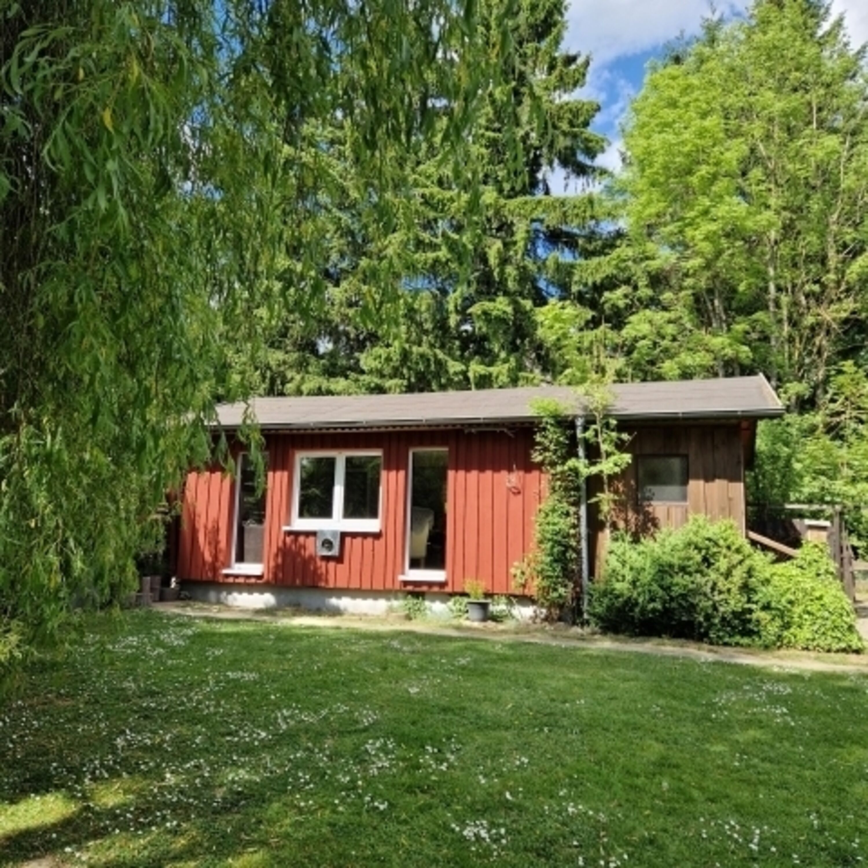 Bild 19