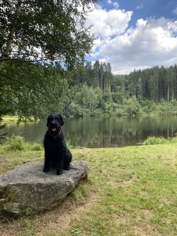 Badesee für Mensch und Hund nur 5 Minuten entfernt 