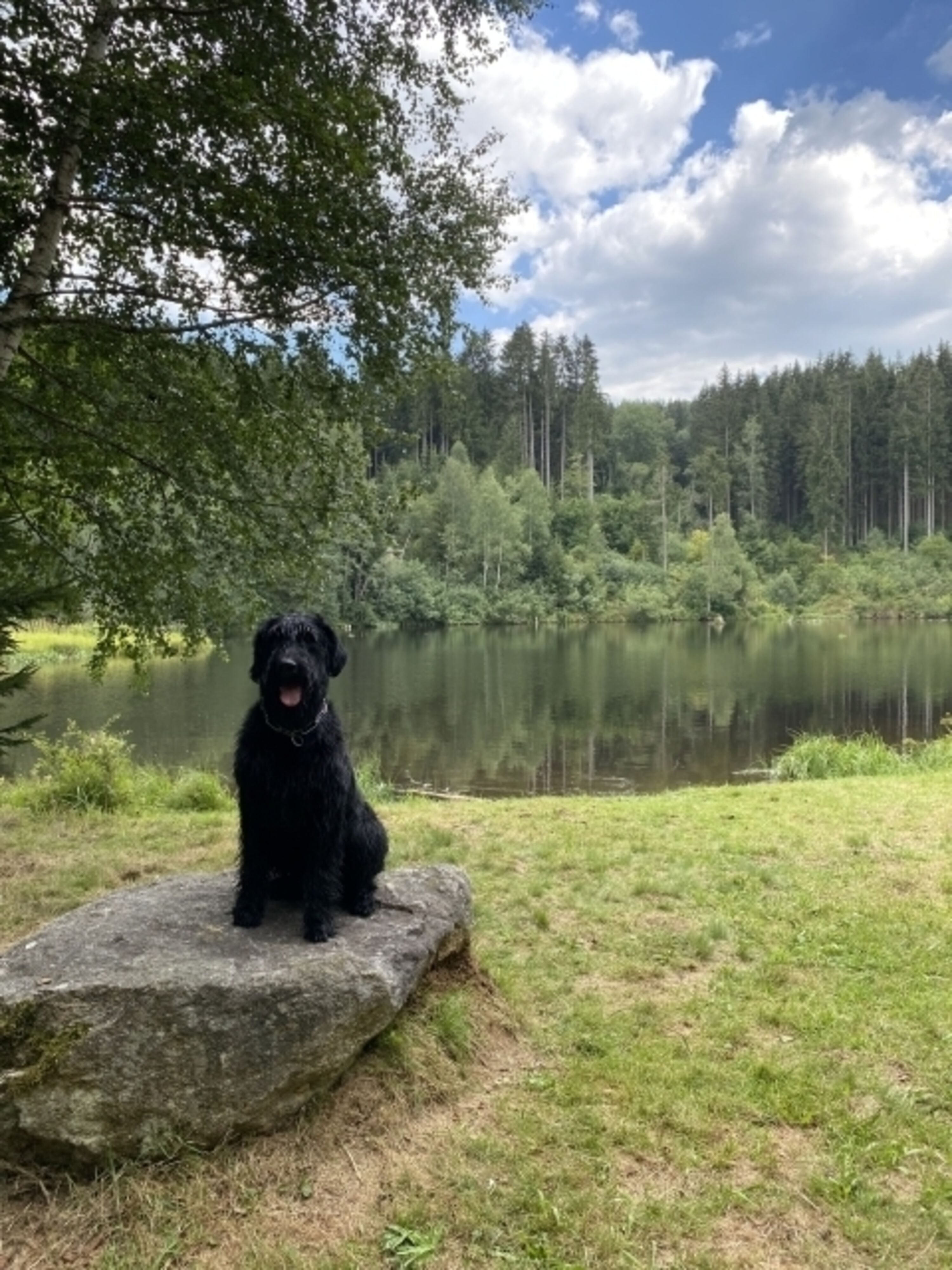 Badesee für Mensch und Hund nur 5 Minuten entfernt 