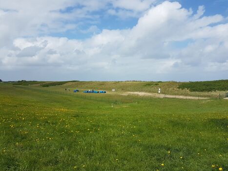 Hundewiese mit Agilityplatz