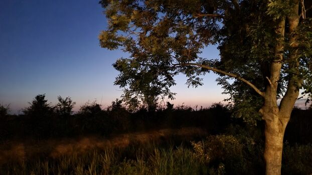 Sonnenuntergang am Haus