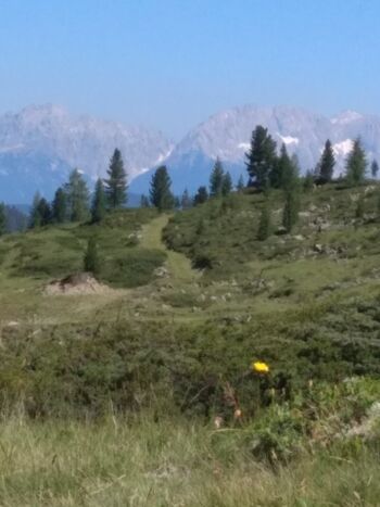 Dergroße Stadl-das Ötztal im Sommer