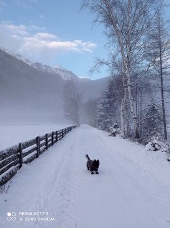 Dergroße Stadl-Direkt am Haus