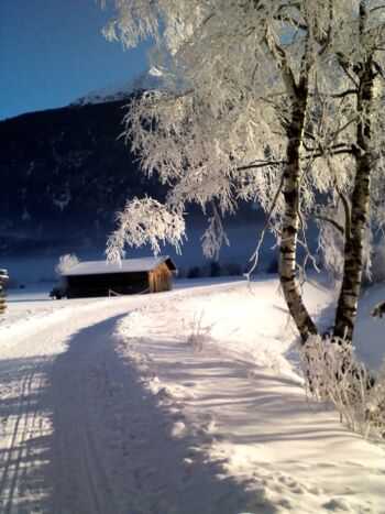 Dergroße Stadl-Schnee hinterm Haus