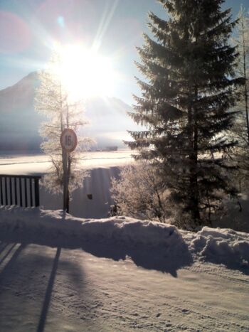 Dergroße Stadl-direkt hinter dem Haus