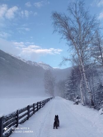 Dergroße Stadl-Schnee pur hinterm Haus
