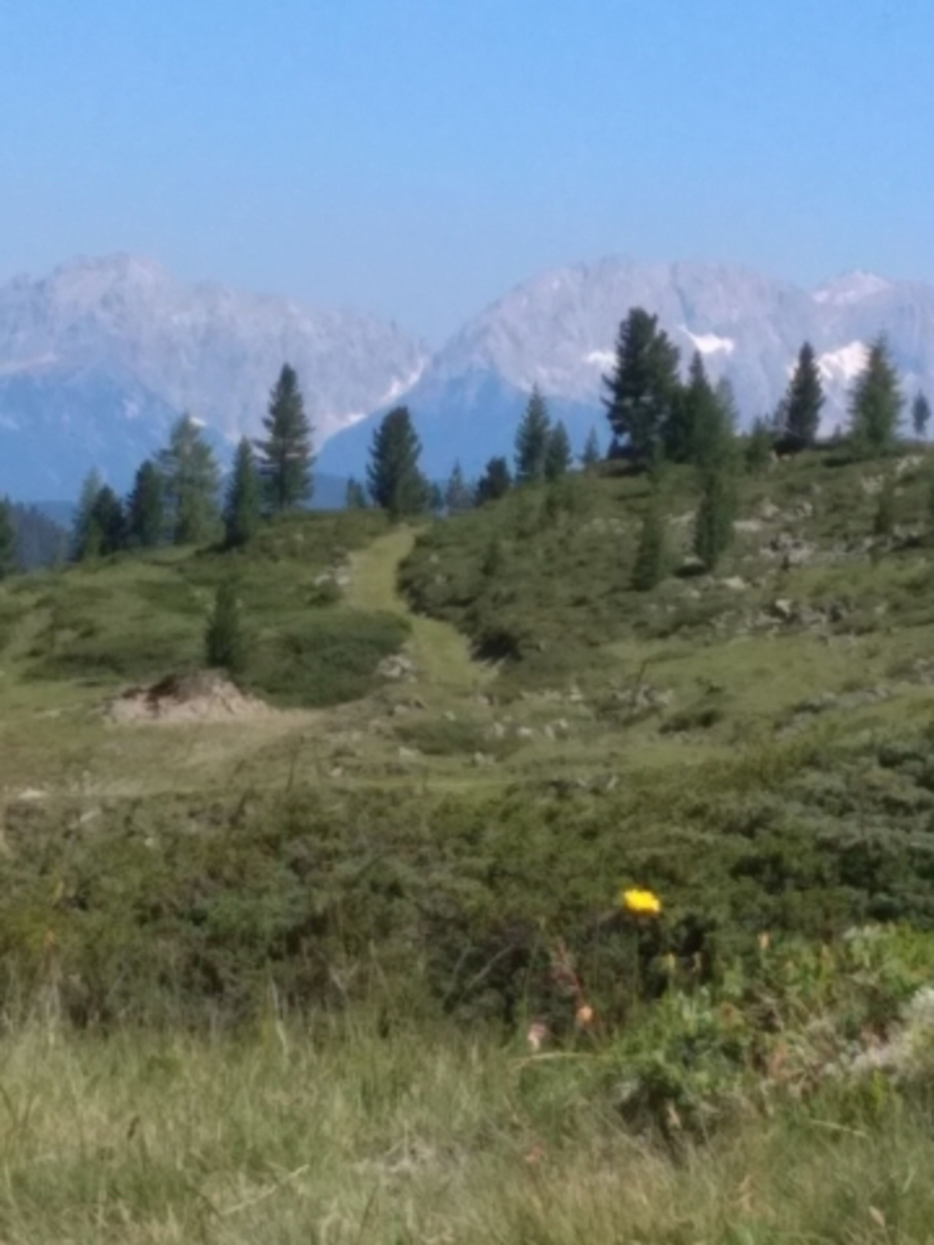 Dergroße Stadl-das Ötztal im Sommer