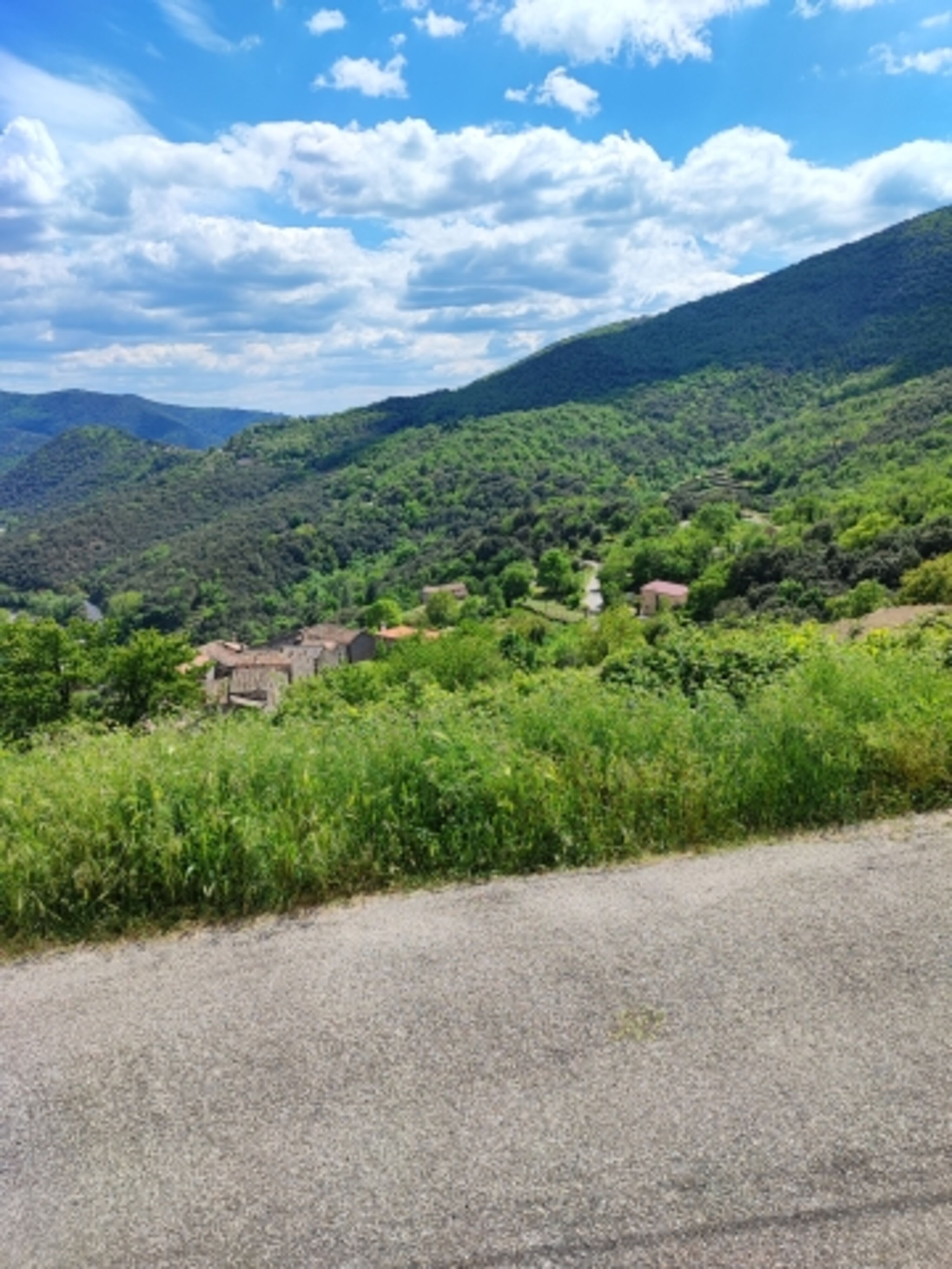 Blick von Terrasse