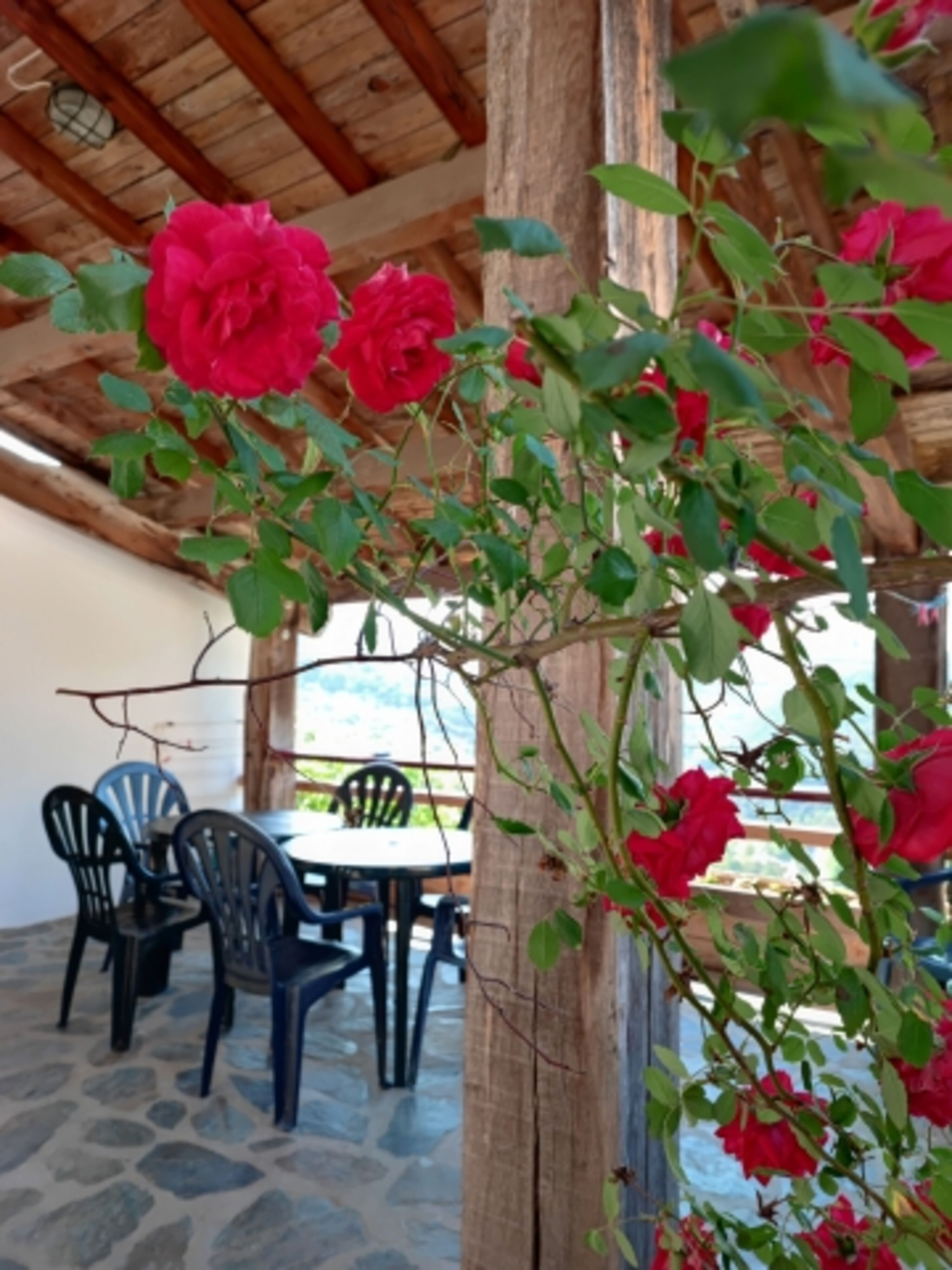 überdachte Terrasse