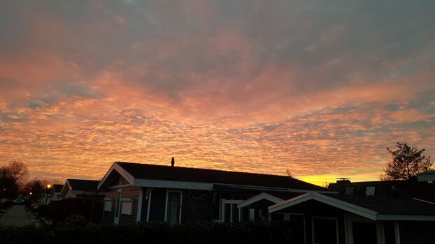 Sonnenaufgang überm Park