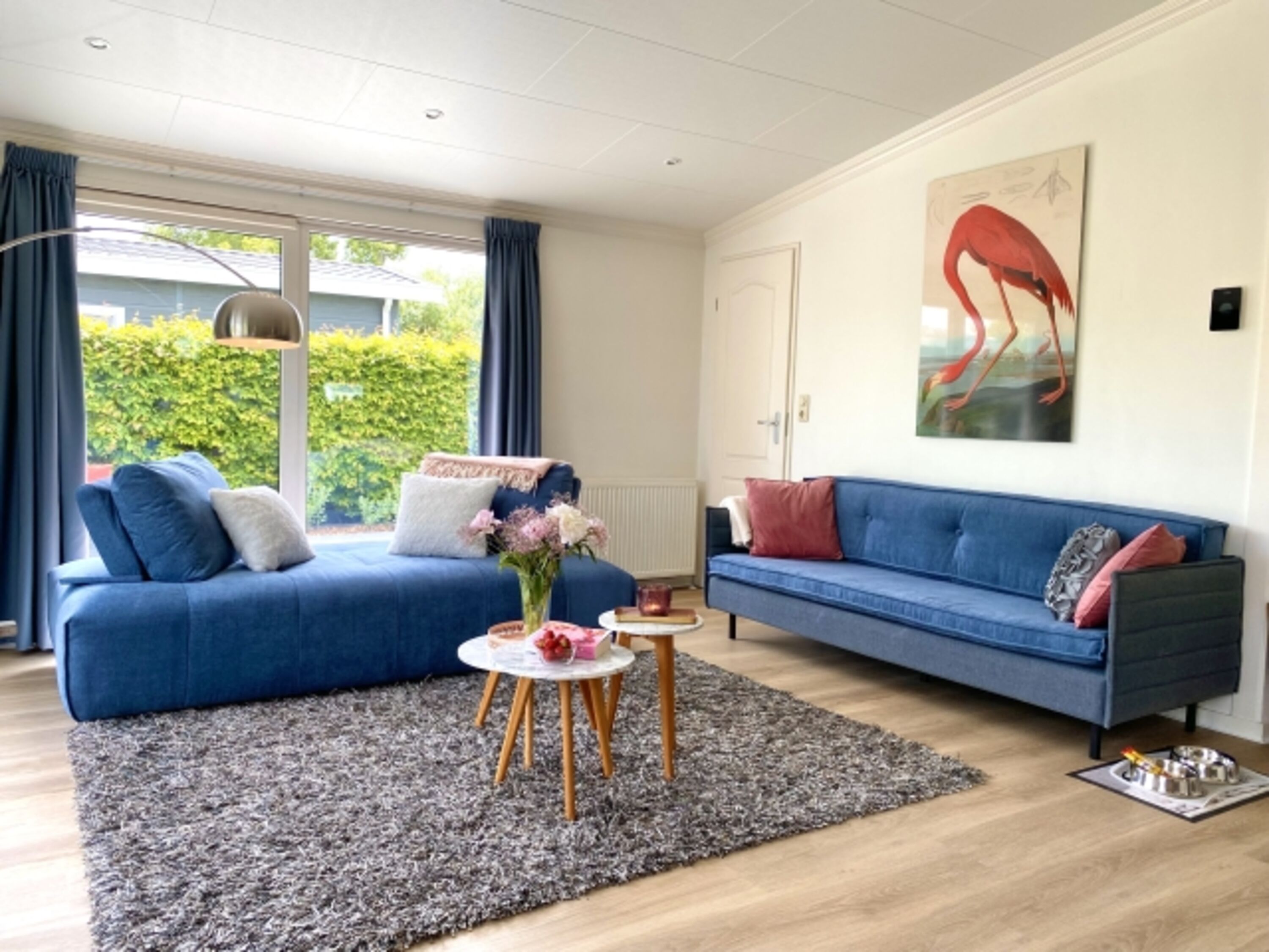 Wohnbereich mit Couch und Schlafcouch