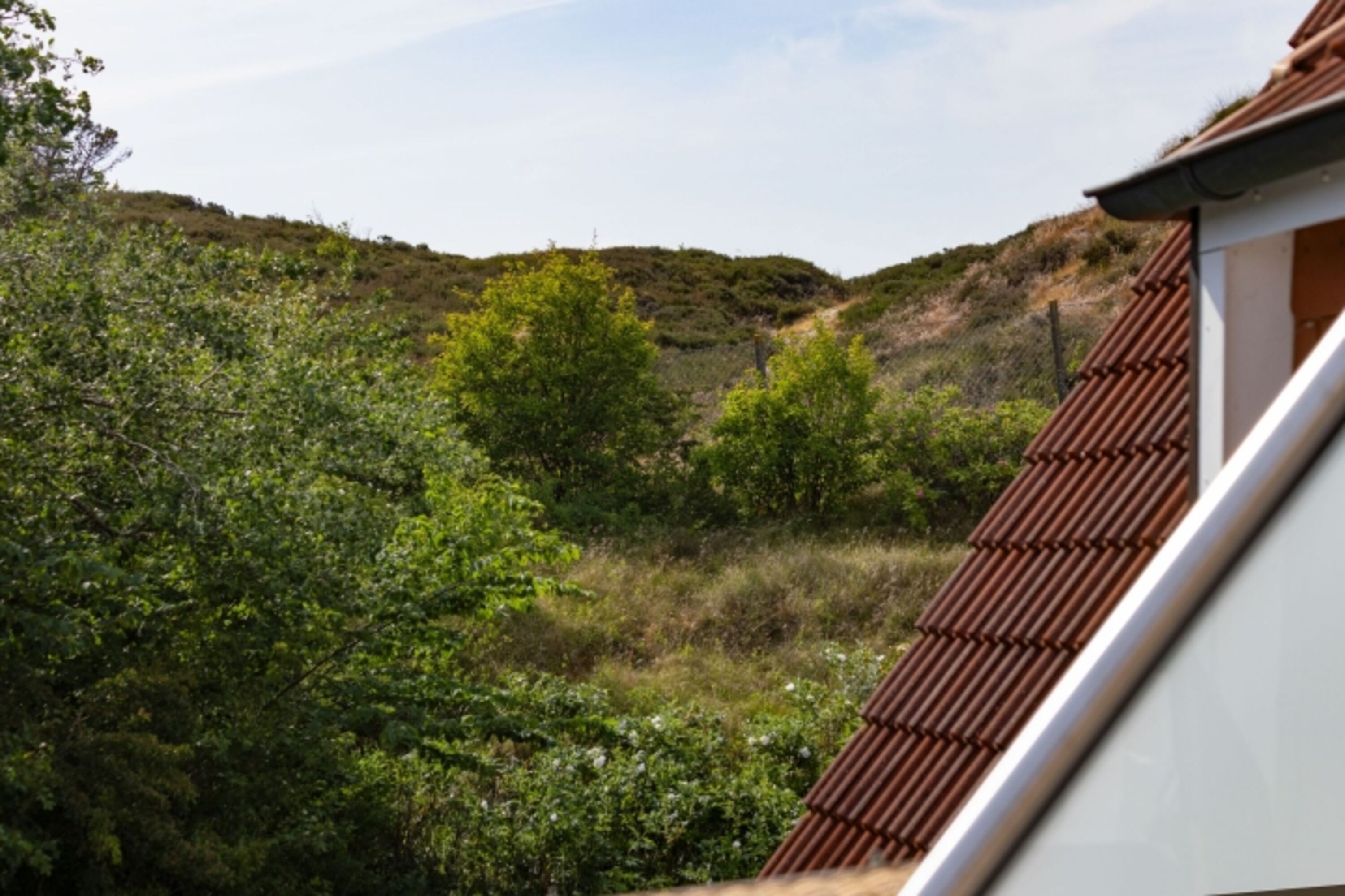 Ausblick vom Balkon