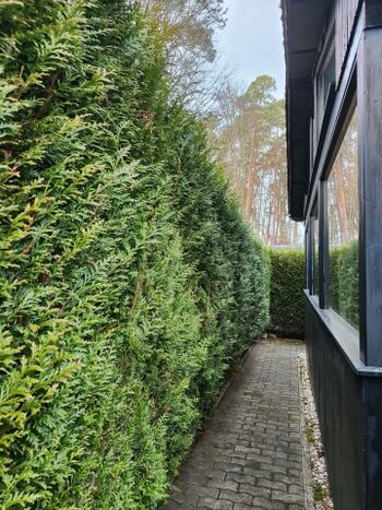 Das hundefreundliche Ferienhaus ist von einer dichten, immergrünen Hecke umgeben, damit Sie Ihren Urlaub ganz ungestört verbringen und den Alltag vergessen können – hier finden Sie und auch Ihr/e Vierbeiner Erholung!