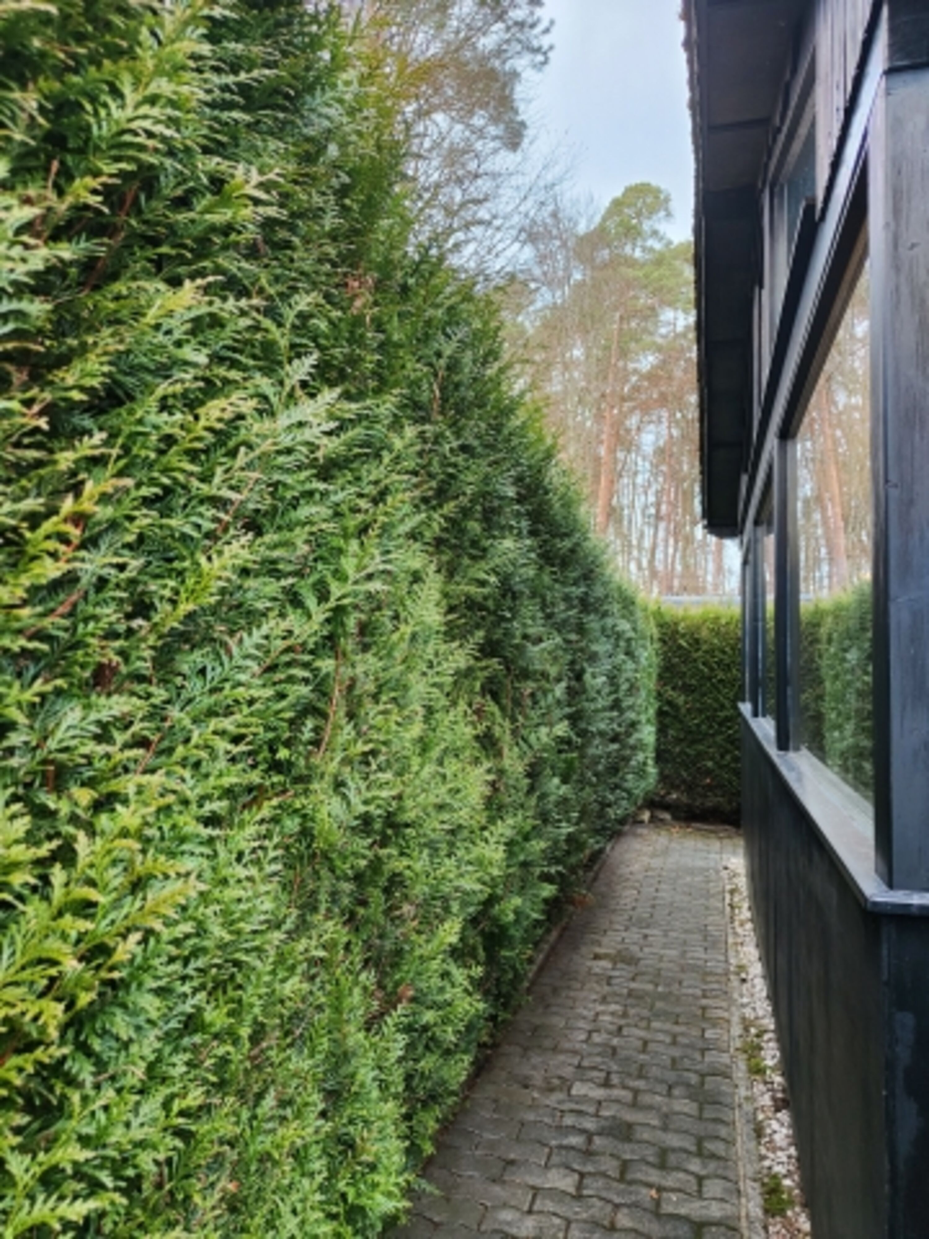 Das hundefreundliche Ferienhaus ist von einer dichten, immergrünen Hecke umgeben, damit Sie Ihren Urlaub ganz ungestört verbringen und den Alltag vergessen können – hier finden Sie und auch Ihr/e Vierbeiner Erholung!