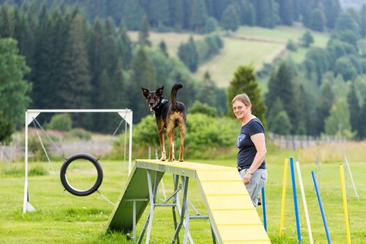 Hundespielplatz