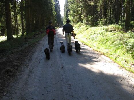 Wanderung mit dem Chef