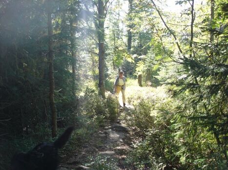 Wanderungen rund um den Bärenhof