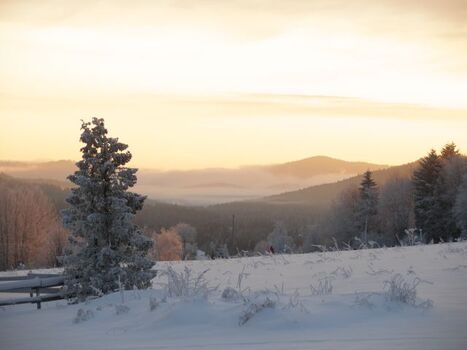 Blick von der Hundewiese