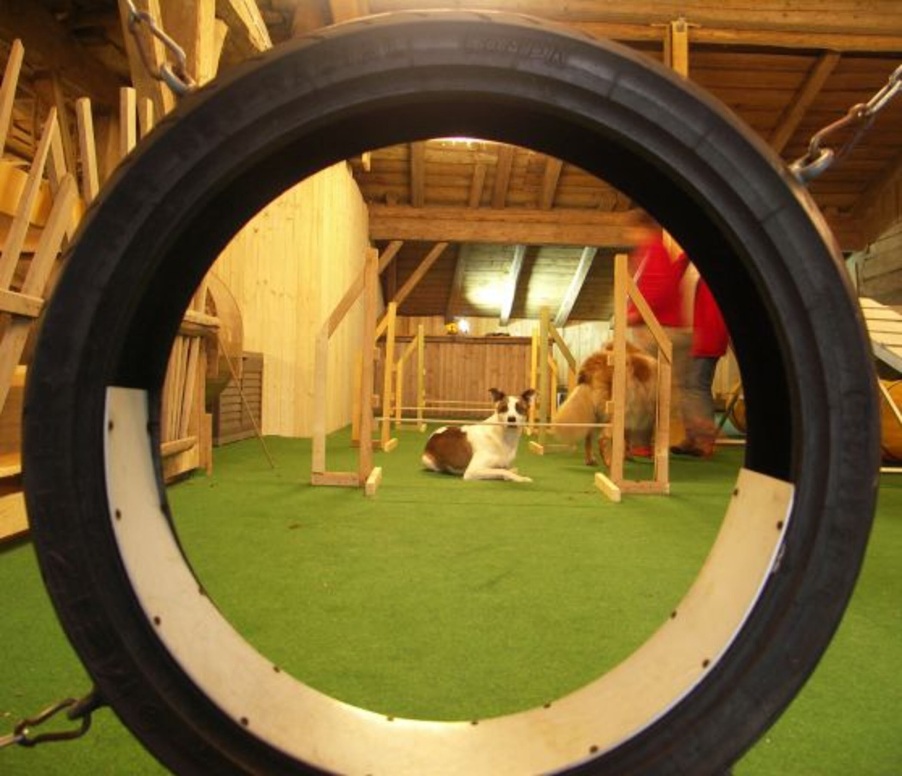 Hundehalle