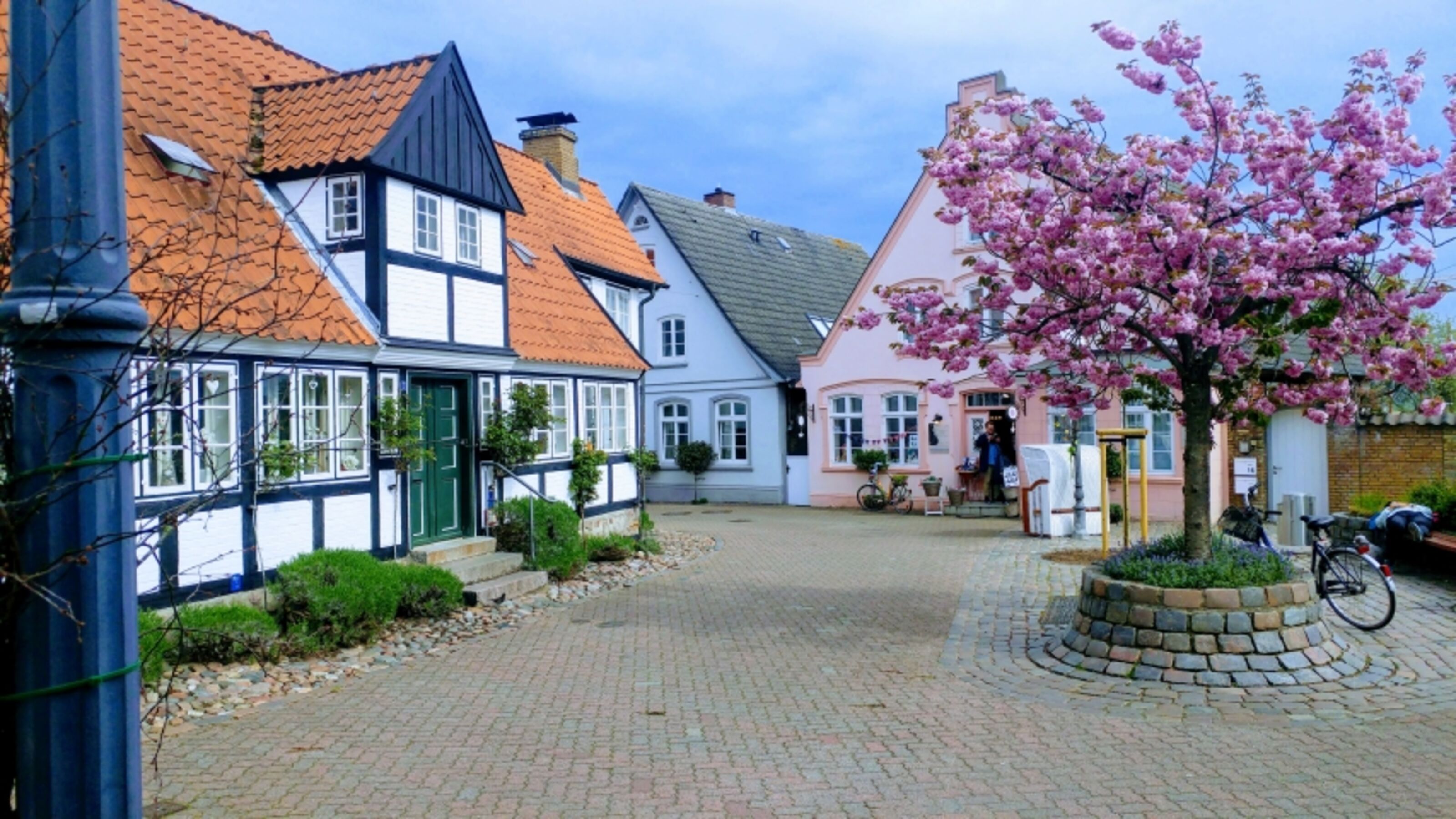 Bild 19