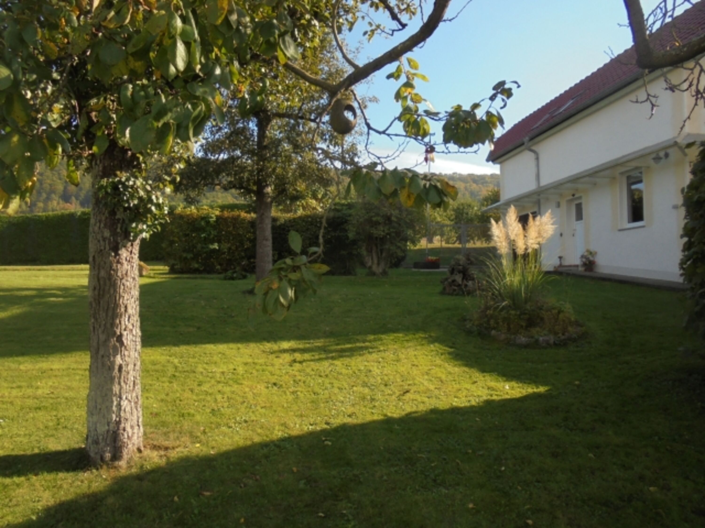 Bild 13