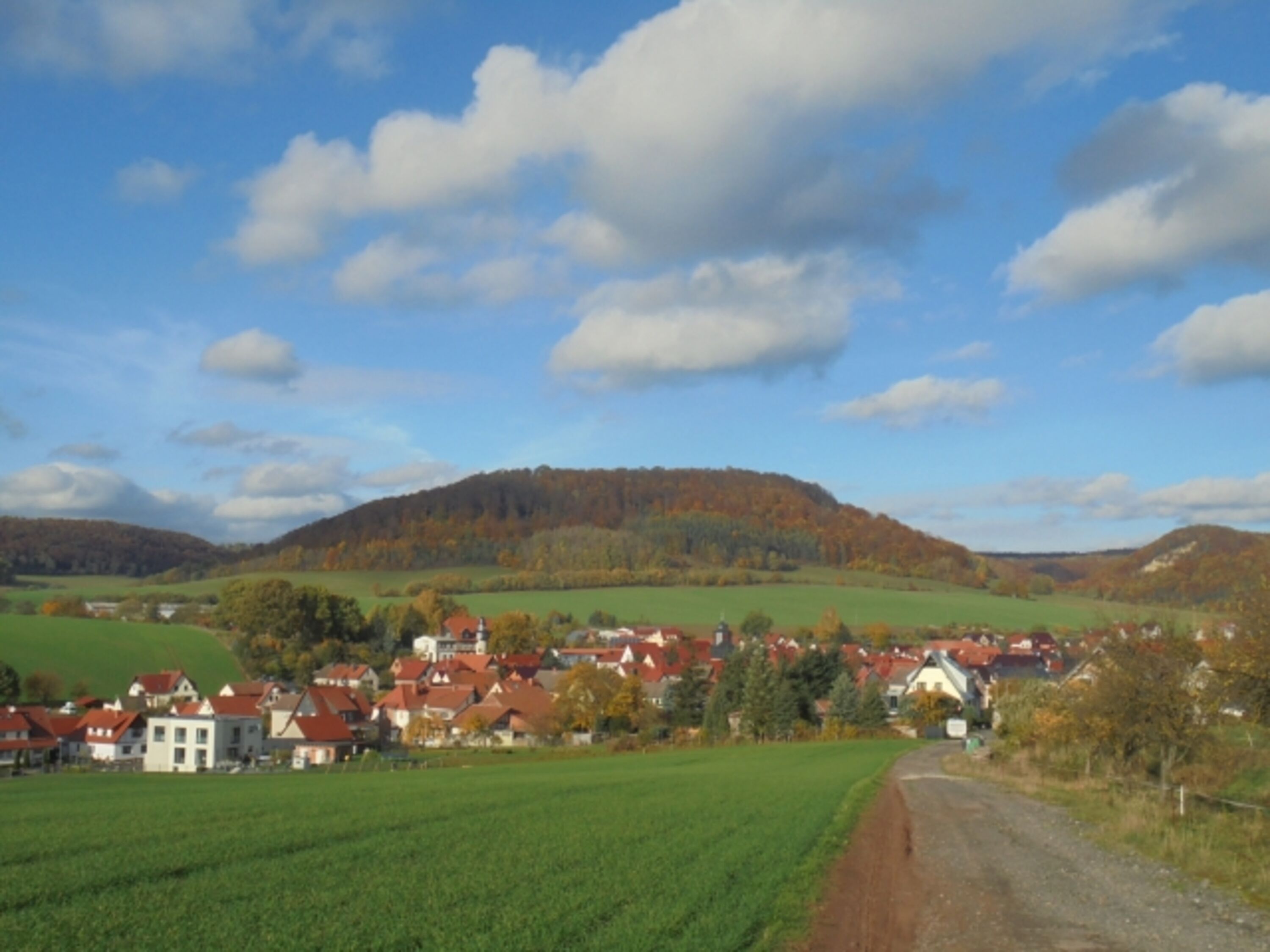Bild 16
