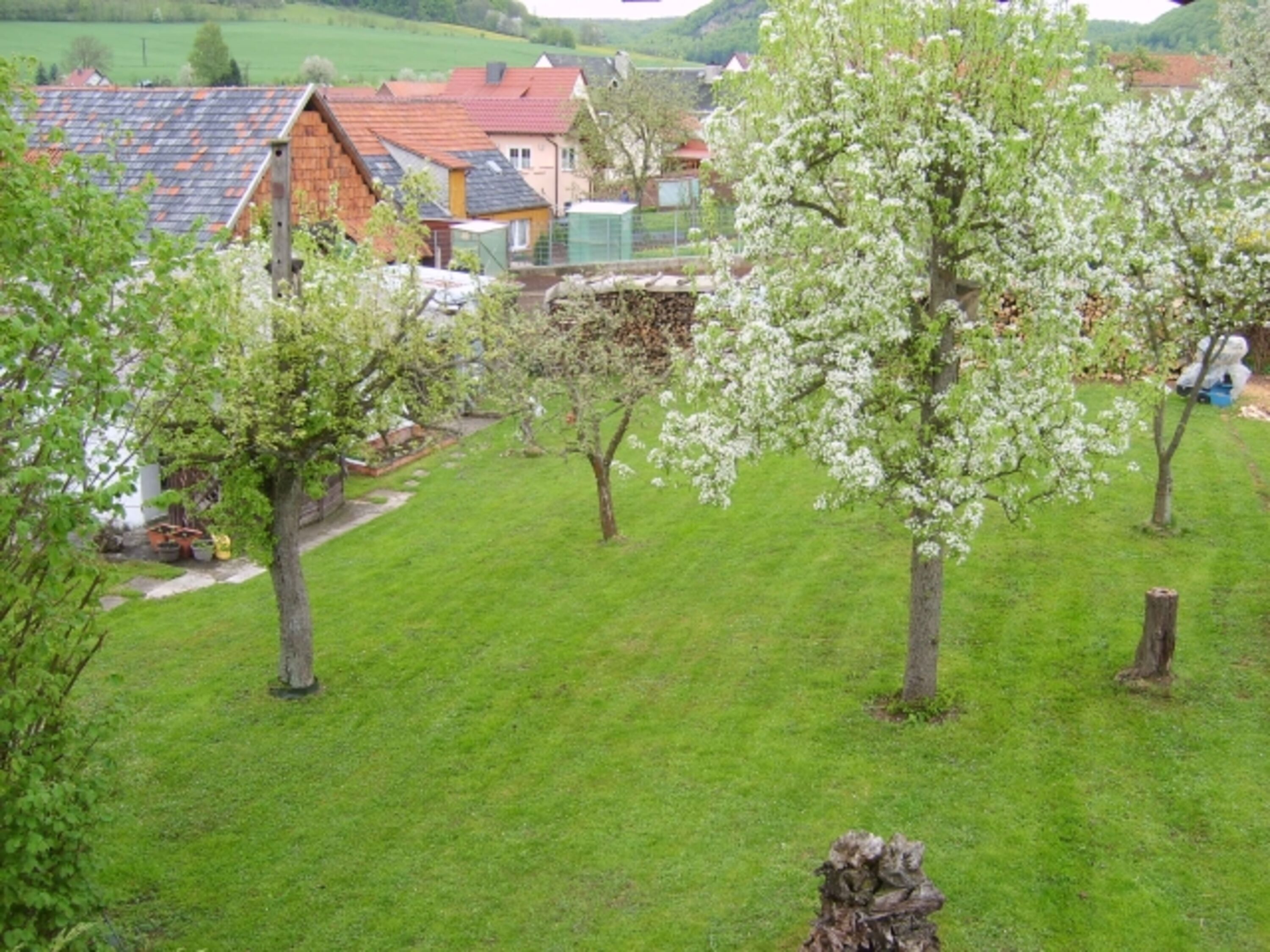 Bild 14
