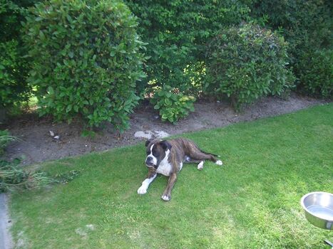 Hier fühle ich mich wohl