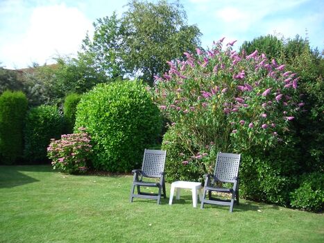 Grosser komplett eingezäunter Garten zum Relaxen