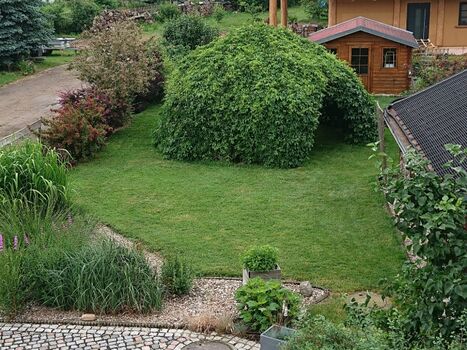 Der Gästegarten mit dem 6-m-Weinpavillon