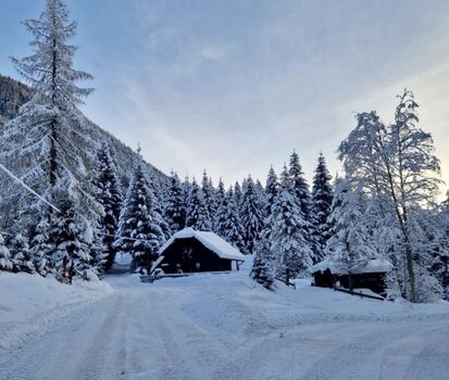 Almhaus mit Hundeherz und Schneegarantie 