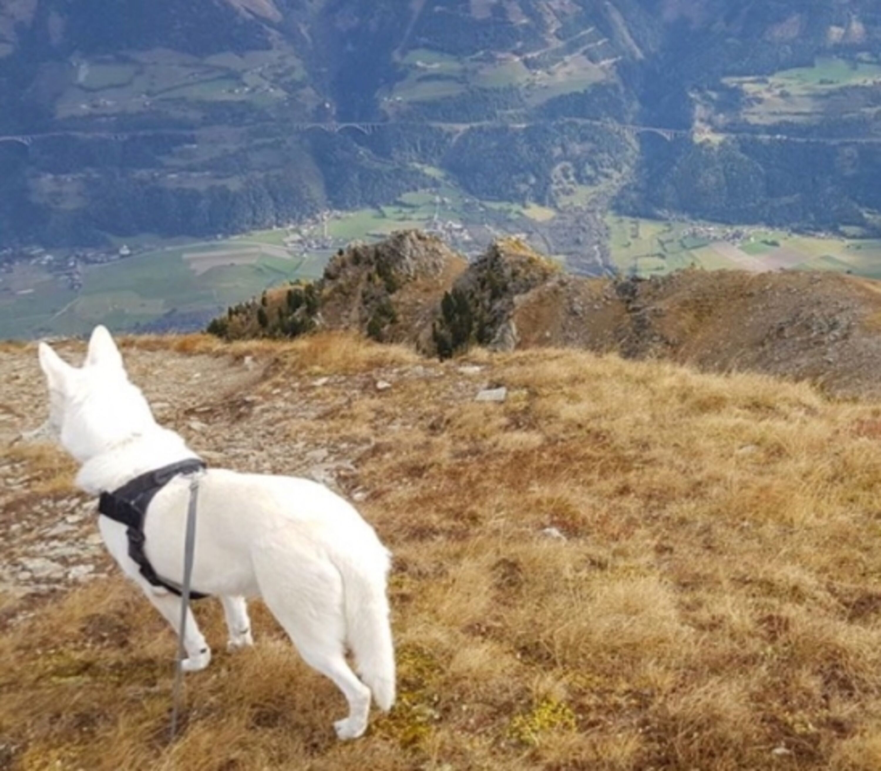 Bei uns kann man nach den Himmel greifen 