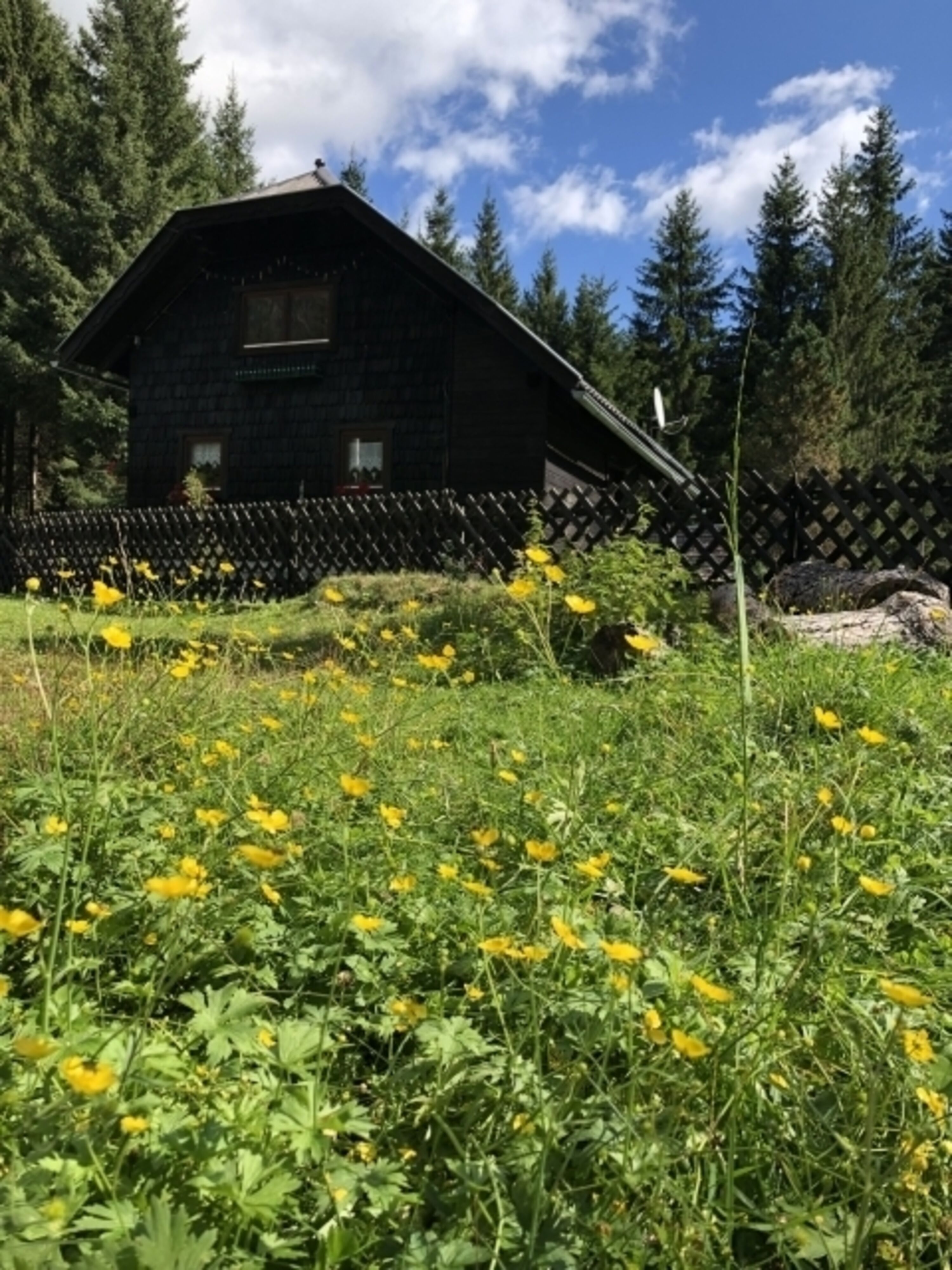 Bild 19
