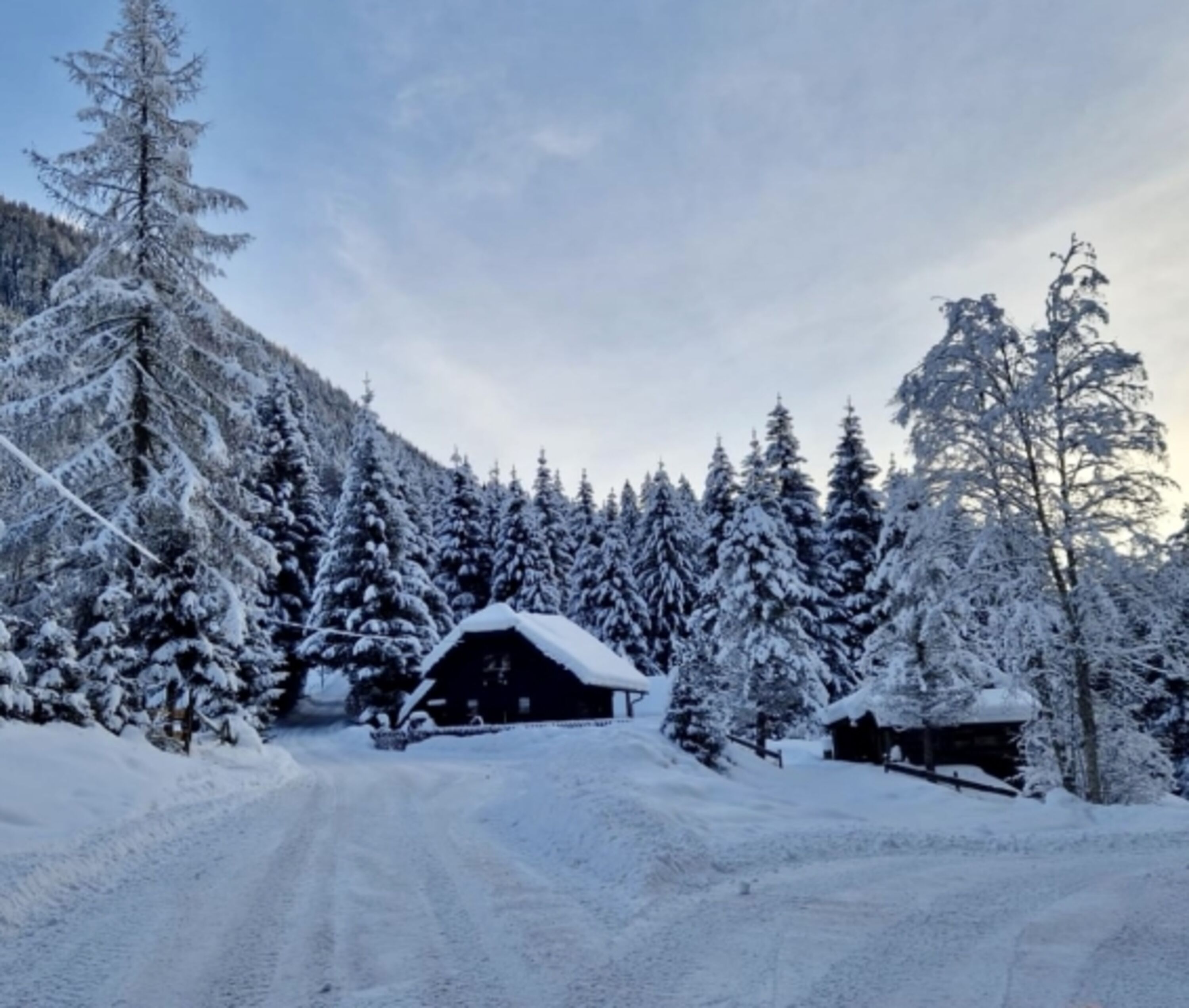 Almhaus mit Hundeherz und Schneegarantie 