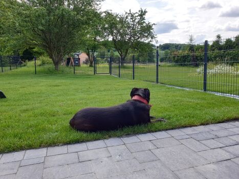 Garten komplett umzäunt