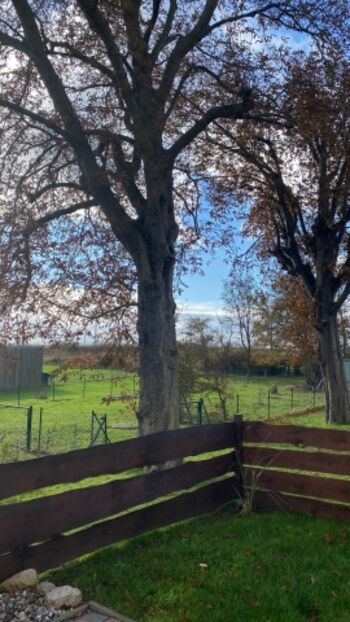 Eingezäunter Garten