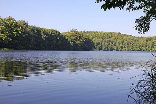 Blick vom Seegrundstück auf den Krummsee. Der See hat eine maximale Länge von 700m, eine Breite von 250m und ist an der tiefsten Stelle mehr als 11m tief. Da der See eine sehr gute Wasserqualität hat und auch nicht von Motorbooten befahren wird, ist er ei