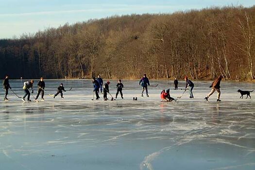 Der Krummsee einmal ganz anders: In kalten Wintern friert der See zu und ist dann unter Umständen auch zum Betreten freigegeben. 