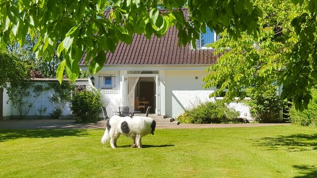 Blick von der Rasenfläche im hinteren Teil des Gartens aus. (Im Vordergrund unser Landseerüde Filou)