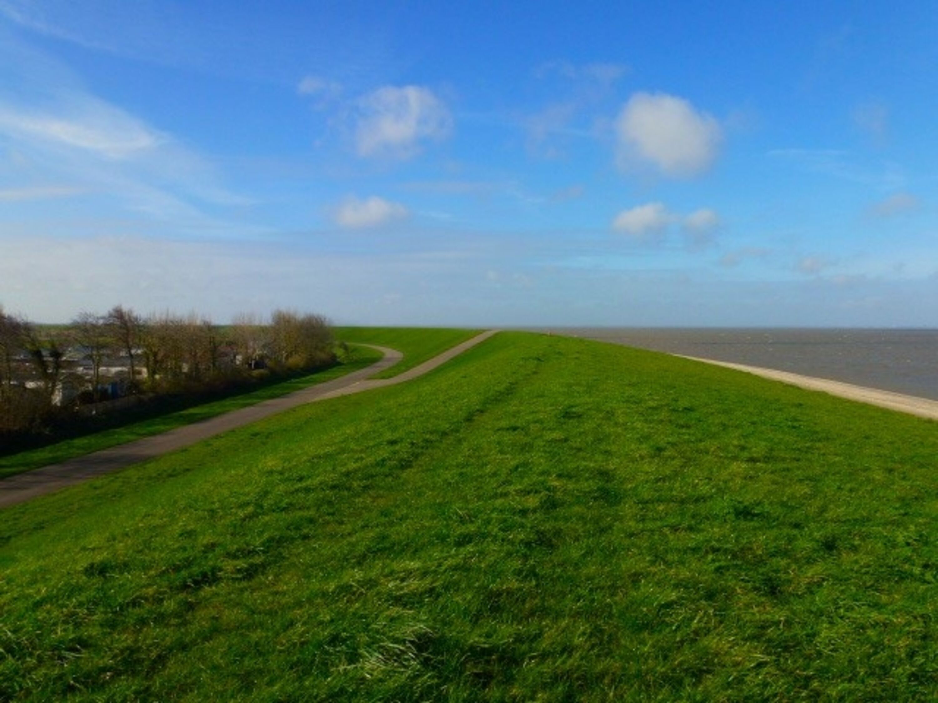 Deichkrone
