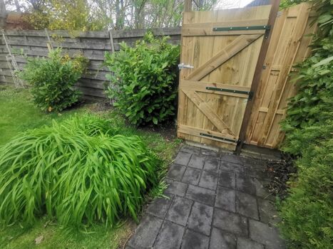 Eingangsbereich Garten (Zaunhöhe mind. 1,80m)