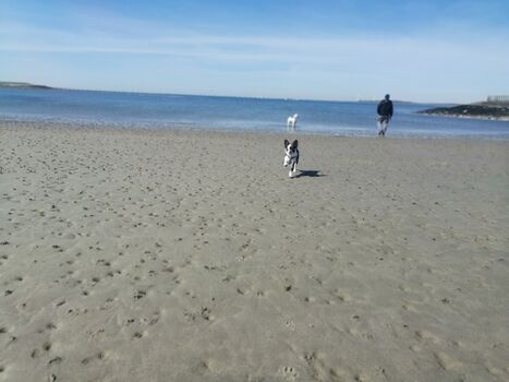 Strändchen Stavenisse ca 1km entfernt