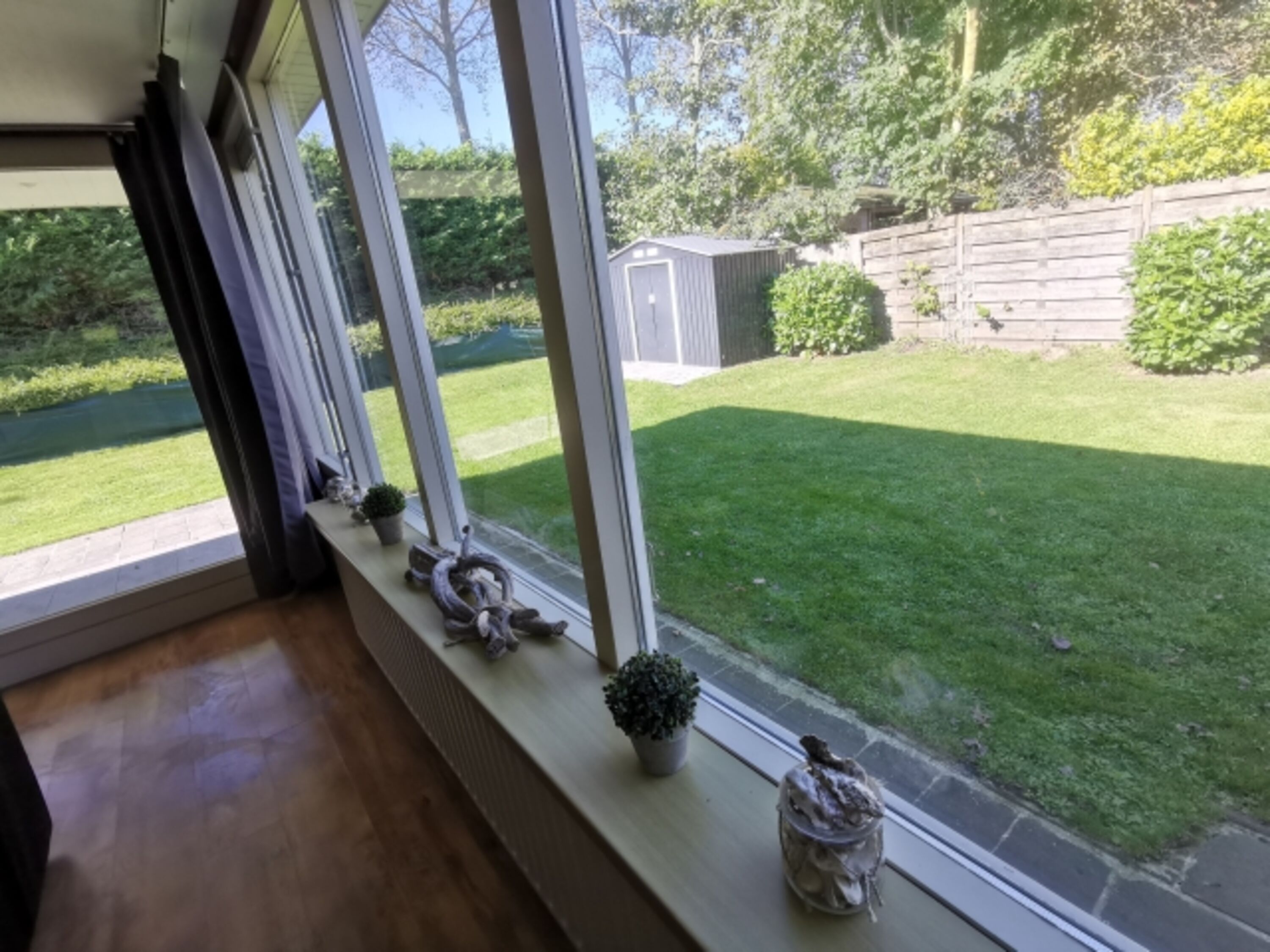 Blick in den Garten