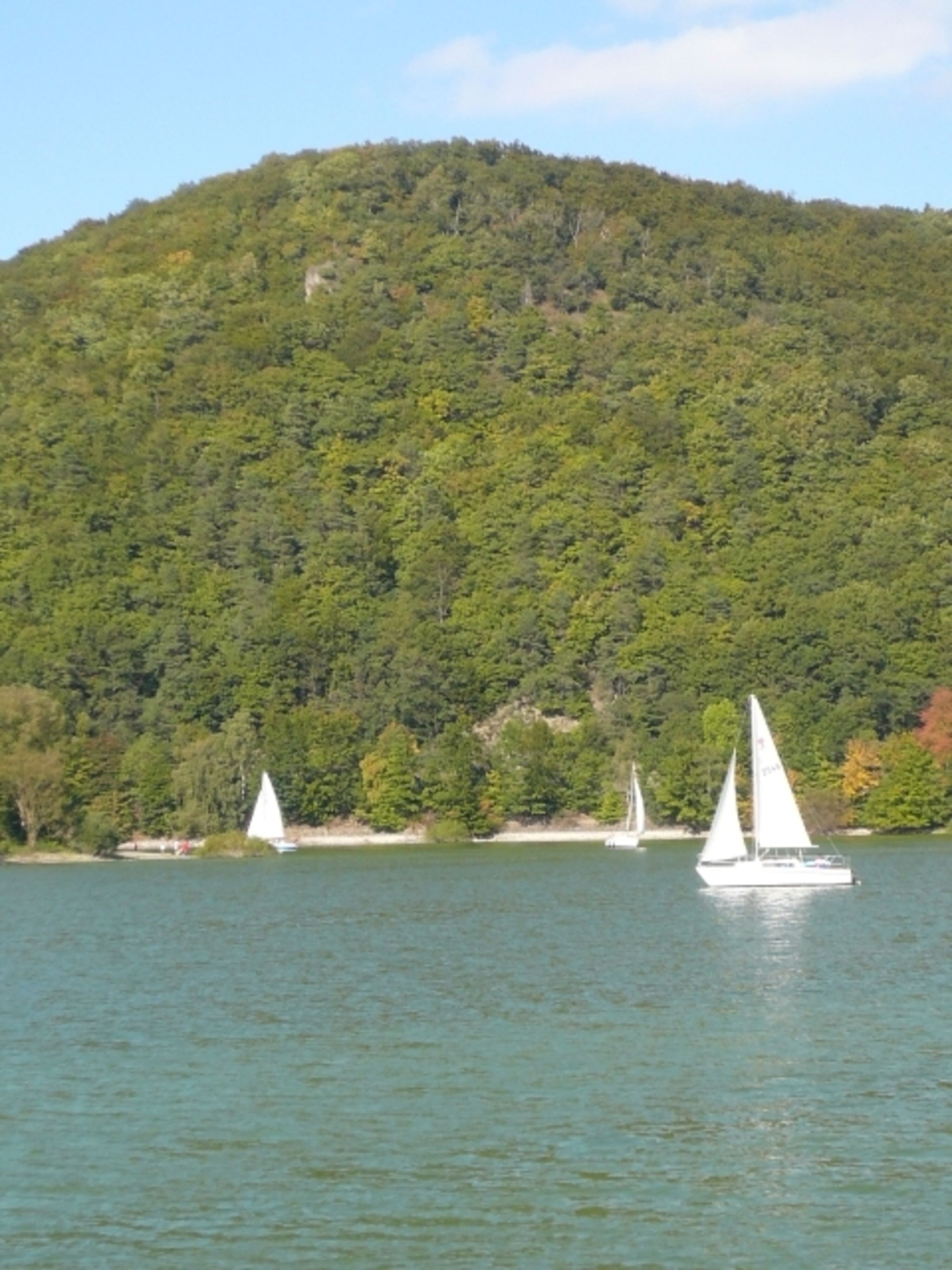 Bild 15
